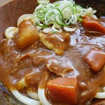 Momoyama Tei Okayama Hirai Ten - カレーうどん