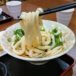 Udon Tengoku Menten - 讃岐うどん!!