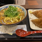 Marugame Seimen Machida Pario Ten - カレーうどん