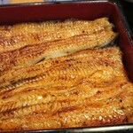 Unagi Kubota - 