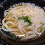 Hanamaru Udon Shinjuku Higashiguchi Moa Gai Ten - かけ(小)