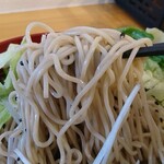 Soba Dokoro Zaigoya - 肉つけ麺そば