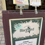 Blackbird - 