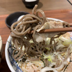 Niku Soba to Donburi Soba Sho Jubei Ionmoru Nagakute - 