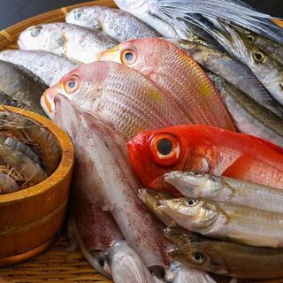 ◆A restaurant with delicious Seafood! Fish dishes that pride themselves on their freshness. Obanzai ♪