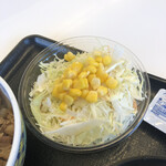 Yoshinoya Ni San Ichi Go Sen Shinoro Ten - 