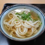 Kokoro Udon - かけうどん（小）アップ