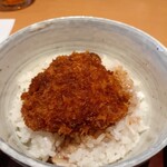 Shunsai Men Chaya Gomoku Tei Wai Puraza Shinbo Ten - ミニソースカツ丼！？