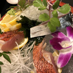 Katsugyo Sushi Shomi - 