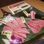 Matsusaka Ushi Tajima - 