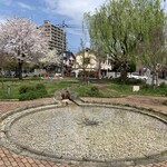 Maruhachi Shokudo - 目の前の太平公園