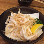 Shiki Shusai Kaen - 