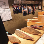 Katsuo Shokudo - 