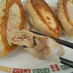 Haoche Gyoza Ten - 肉汁じゅわ。