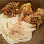 Odoru Udon Umeda Ten - 