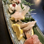 Katsugyo Sushi Shomi - 