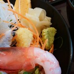 Washoku Restaurant Tonden Sayama Ten - いわしの海鮮ちらし1490円