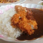 Curry & Spaghetti Hokui 45° - チキンカツカレー