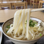 Seimen Shichi Ya Harada Ten - スタンダードで美味しいうどんです