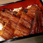 Sumibi Teyaki Unagi Horichu Sakae Higashi Ten - うな重