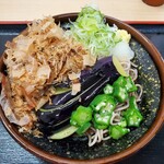 Soba Dokoro Metro An Korakuen Ten - 冷し揚げ茄子のそば