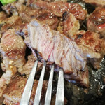 Ikinari Steak Shonanmorufirutenn - 