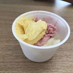 gelateria LIMONE - 