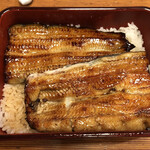 Unagi Kubota - 