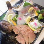 Yumihari no Oka Hotel - うちわ海老、アラカブ、恵アジの刺身