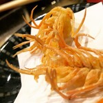 Tempura Wakayama - 