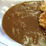 Curry no Chikara Koyodai Ten - カレーのチカラ 「チカラカレー＋ルー大盛＋から揚げ」