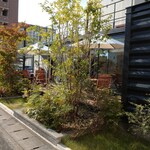 Cafe terrace kikinomori - 