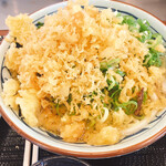 Marugame Seimen Fukuyama Heisei Daigaku Mae Ten - かけうどん大　冷
                        ネギ、天かす大盛り