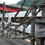 SHIKOKU MANNAKA SENNEN MONOGATARI - 大歩危駅ホームのかずら橋