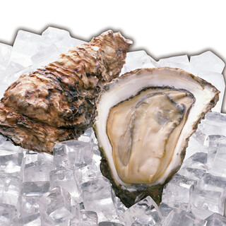 Recommendation! Raw Oyster from Hyogo Prefecture! !