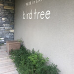 bird tree - 入り口