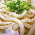 灸まんうどん - かけ