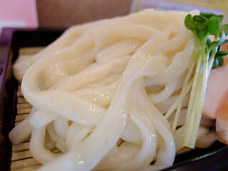 Udon Chuu - 