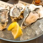 Oyster bar & Wine Belon Ginza - オイスター