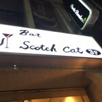 Bar Scotch Cat - 