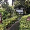 伊豆高原 城ケ崎温泉 花吹雪