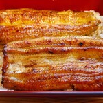 Unagi Kubota - 