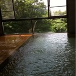 Nishi Hoppo Onsen Hotel - 湯の花濾過してるようです