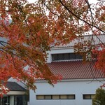 Hakone Saryo Shinzan - 近くの 紅葉