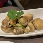 MUSHROOM TOKYO - 