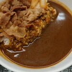 Yoshinoya Sarakaido Nishishinten - 