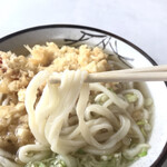 Sanuki Udon - 