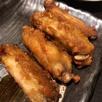 Taishu Izakaya Toriichizu Kyodo Ten - 