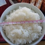 住吉 - ロースかつ定食（並）920円　お茶碗の直径11cm