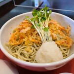 Teuchi Soba Shoei An - 桜えびのぶっかけそばでう。